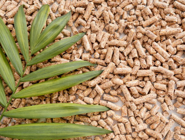 How Biomass Pellets Are Helping Industries Reduce Fossil Fuel Dependence