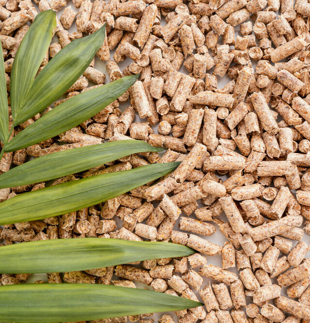 How Biomass Pellets Are Helping Industries Reduce Fossil Fuel Dependence